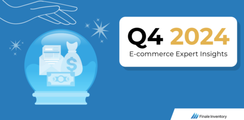 E-commerce Expert Insights: Q4 2024